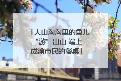 大山沟沟里的鱼儿 “游”出山 端上成渝市民的餐桌