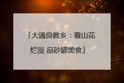 大通良教乡：看山花烂漫 品砂罐美食