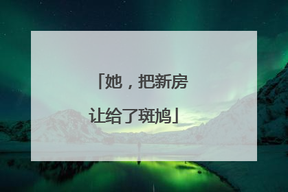 她，把新房让给了斑鸠