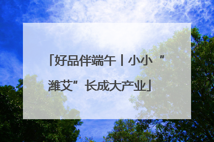 好品伴端午丨小小“潍艾”长成大产业