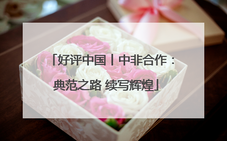 好评中国丨中非合作：典范之路 续写辉煌