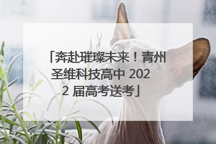 奔赴璀璨未来！青州圣维科技高中 2022 届高考送考