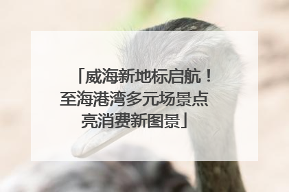 威海新地标启航！至海港湾多元场景点亮消费新图景