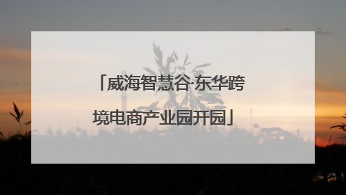 威海智慧谷·东华跨境电商产业园开园