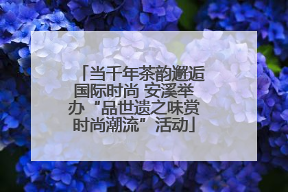 当千年茶韵邂逅国际时尚 安溪举办“品世遗之味赏时尚潮流”活动