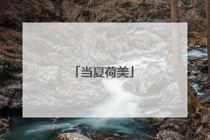 当夏荷美