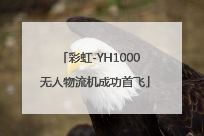 彩虹-YH1000无人物流机成功首飞