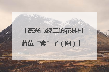德兴市绕二镇花林村蓝莓“紫”了（图）