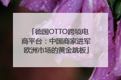 德国OTTO跨境电商平台：中国商家进军欧洲市场的黄金跳板