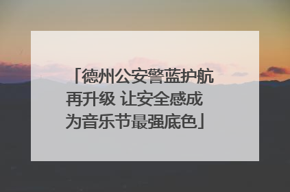 德州公安警蓝护航再升级 让安全感成为音乐节最强底色
