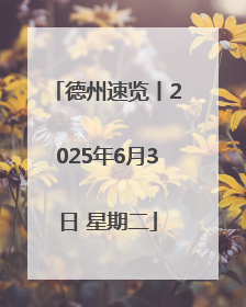 德州速览丨2025年6月3日 星期二
