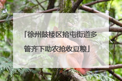 徐州鼓楼区拾屯街道多管齐下助农抢收夏粮
