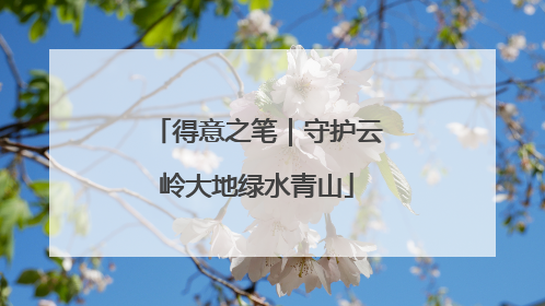 得意之笔｜守护云岭大地绿水青山