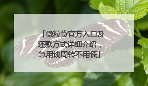 微粒贷官方入口及还款方式详细介绍，急用钱周转不用慌