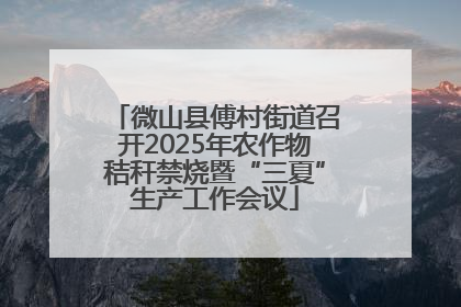 微山县傅村街道召开2025年农作物秸秆禁烧暨“三夏”生产工作会议