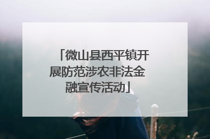 微山县西平镇开展防范涉农非法金融宣传活动