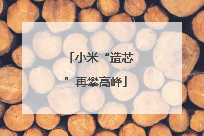 小米“造芯”再攀高峰