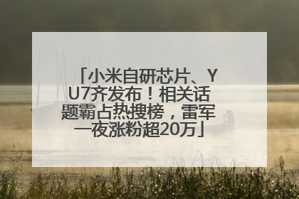 小米自研芯片、YU7齐发布！相关话题霸占热搜榜，雷军一夜涨粉超20万