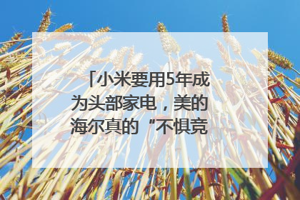 小米要用5年成为头部家电，美的海尔真的“不惧竞争”？｜热财经