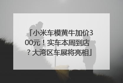 小米车模黄牛加价300元！实车本周到店？大湾区车展将亮相