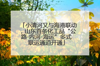 小清河又与海港联动，山东首条化工品“公路-内河-海运”多式联运通道开通