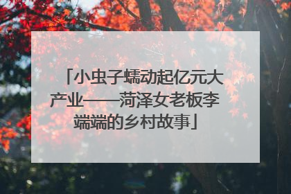 小虫子蠕动起亿元大产业——菏泽女老板李端端的乡村故事