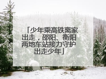 少年乘高铁离家出走，邵阳、衡阳两地车站接力守护出走少年