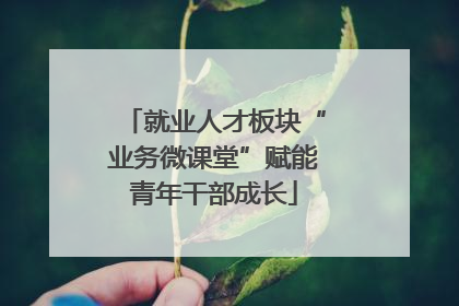 就业人才板块“业务微课堂”赋能青年干部成长