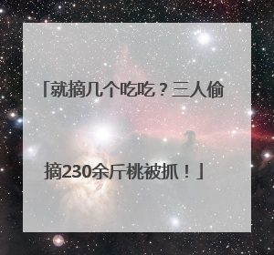 就摘几个吃吃？三人偷摘230余斤桃被抓！