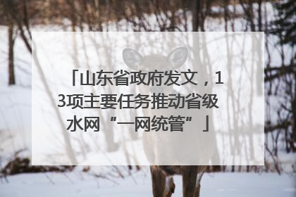 山东省政府发文，13项主要任务推动省级水网“一网统管”