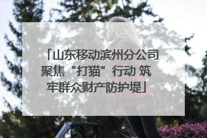 山东移动滨州分公司聚焦“打猫”行动 筑牢群众财产防护堤