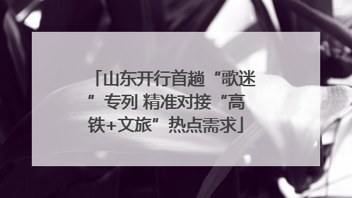 山东开行首趟“歌迷”专列 精准对接“高铁+文旅”热点需求