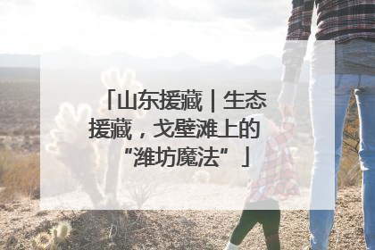 山东援藏｜生态援藏，戈壁滩上的“潍坊魔法”