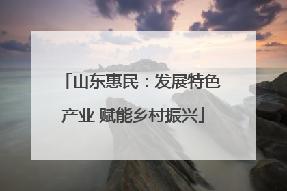 山东惠民：发展特色产业 赋能乡村振兴