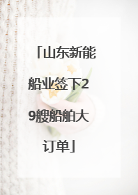 山东新能船业签下29艘船舶大订单