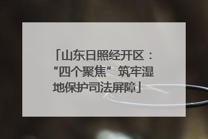 山东日照经开区：“四个聚焦”筑牢湿地保护司法屏障