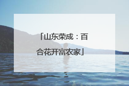 山东荣成：百合花开富农家
