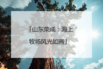 山东荣成：海上牧场风光如画