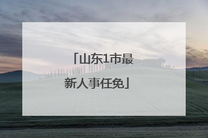 山东1市最新人事任免