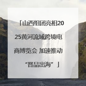 山西组团亮相2025黄河流域跨境电商博览会 加速推动“晋品出海”