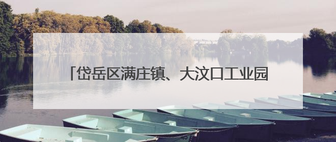 岱岳区满庄镇、大汶口工业园：完善制度、贴心护航、强化监管，打造优质营商“强磁场”
