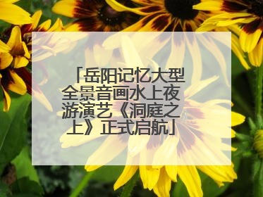 岳阳记忆大型全景音画水上夜游演艺《洞庭之上》正式启航
