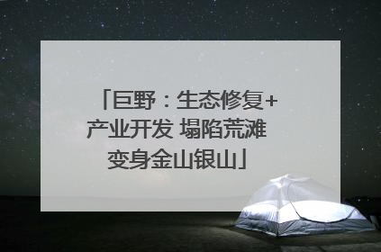 巨野：生态修复+产业开发 塌陷荒滩变身金山银山
