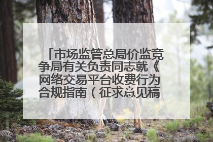 市场监管总局价监竞争局有关负责同志就《网络交易平台收费行为合规指南（征求意见稿）》答记者问