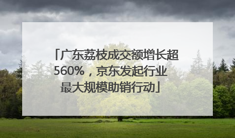 广东荔枝成交额增长超560%，京东发起行业最大规模助销行动