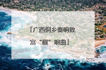 广西侗乡奏响致富“椒”响曲