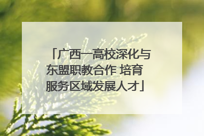 广西一高校深化与东盟职教合作 培育服务区域发展人才