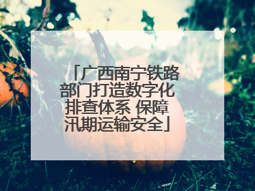 广西南宁铁路部门打造数字化排查体系 保障汛期运输安全