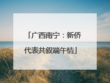 广西南宁：新侨代表共叙端午情