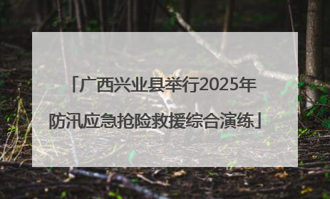 广西兴业县举行2025年防汛应急抢险救援综合演练